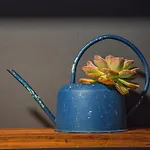 Kape Loft